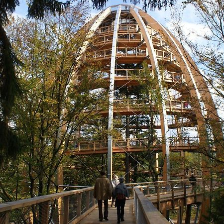 Haus Beate, Fewo Im Bienenparadies Kirchberg  Exteriér fotografie