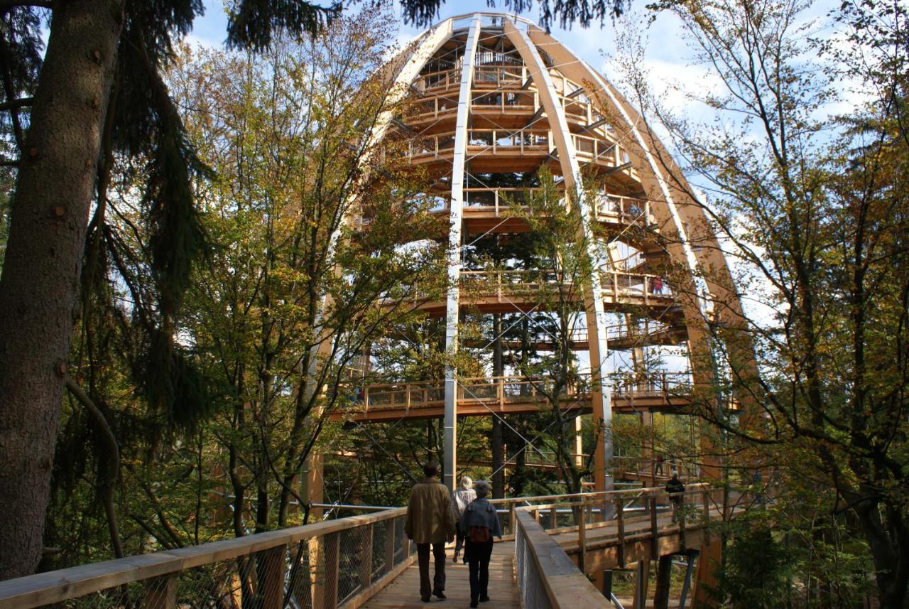 Haus Beate, Fewo Im Bienenparadies Kirchberg  Exteriér fotografie