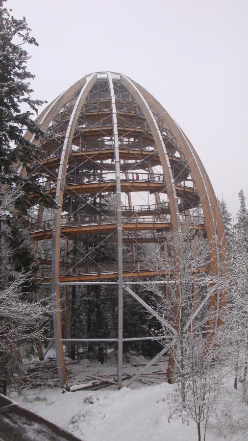 Haus Beate, Fewo Im Bienenparadies Kirchberg  Exteriér fotografie